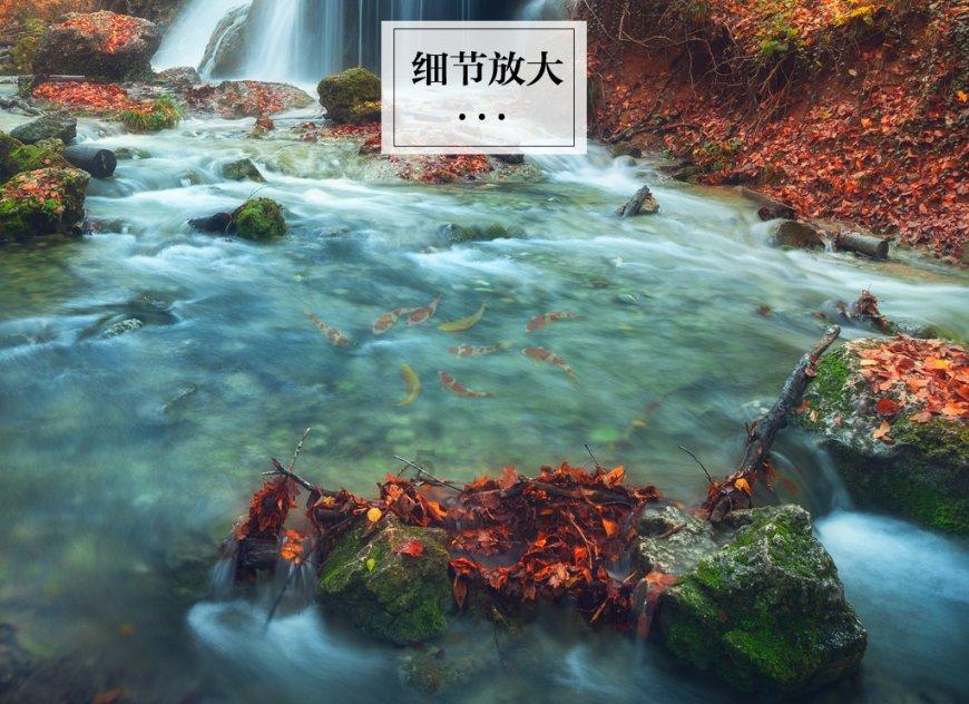 小猫钓鱼开船版最新版下载